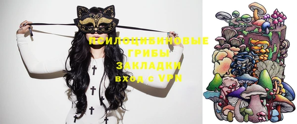 ешки Балахна