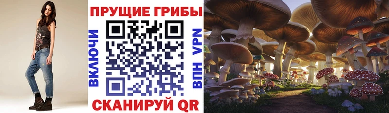 Псилоцибиновые грибы мухоморы  Купить закладки  Спас-Деменск 